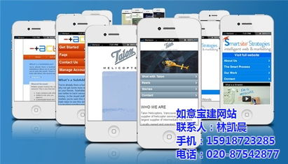 广州琛鑫建网站 如意宝 广州琛鑫建网站推广维护无忧虑